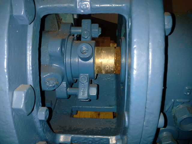 Goulds pump model 3196 MT  size 1.5×3-10