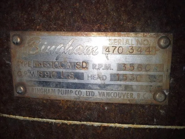 Bingham Multistage pump type 4x6x10C MSD, 4 stages