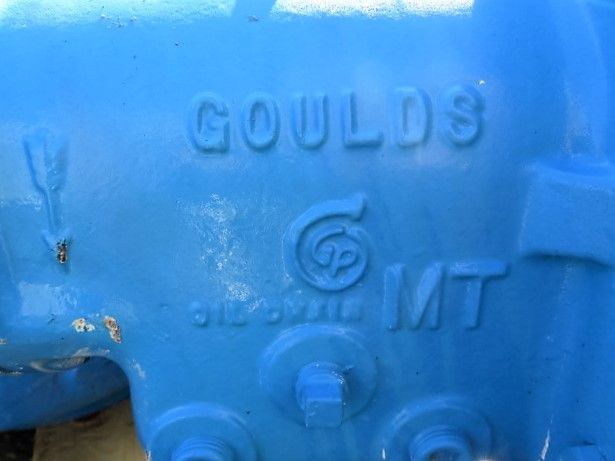 Goulds pump model 3196 MT size 3×4-13
