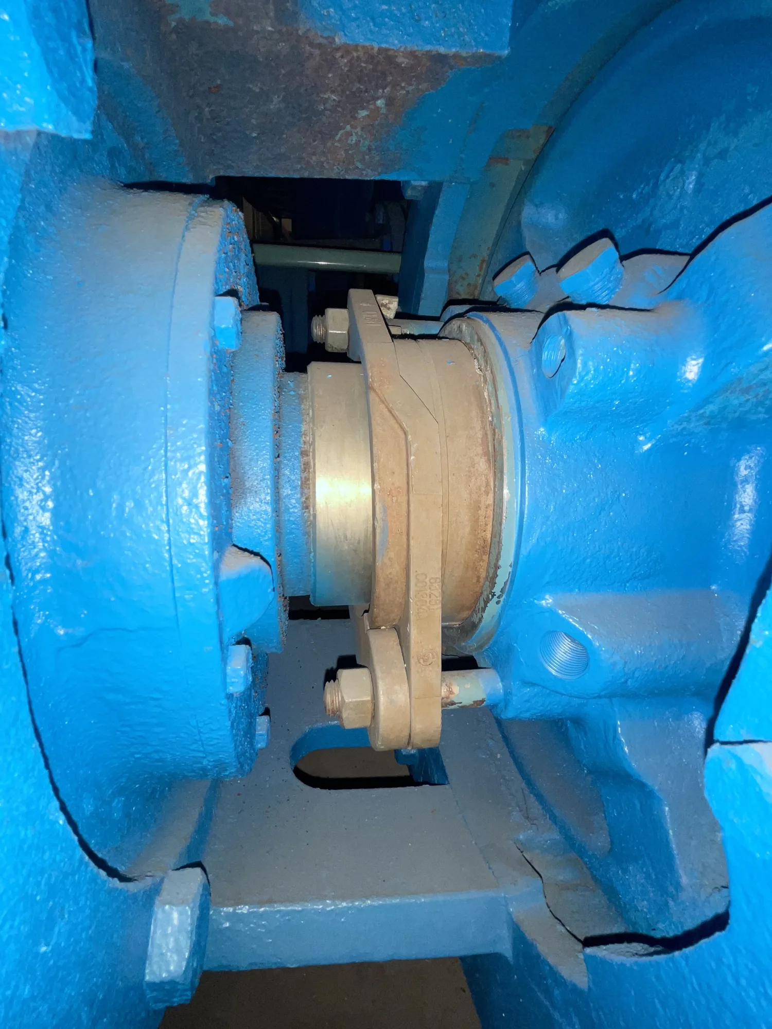 Goulds pump model 3175 size 12×14-18 316SS