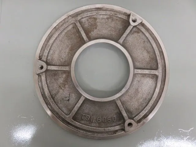 Wearplate / Suction Side Plate Cast No. TSI6060