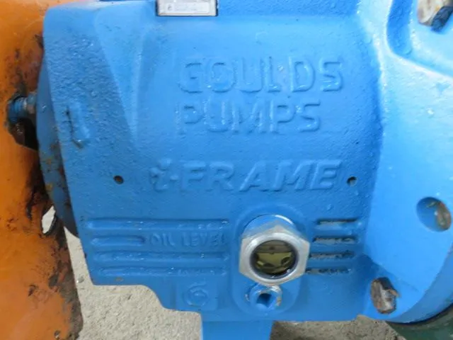 Goulds pump model 3196 MTi size 4×6-13