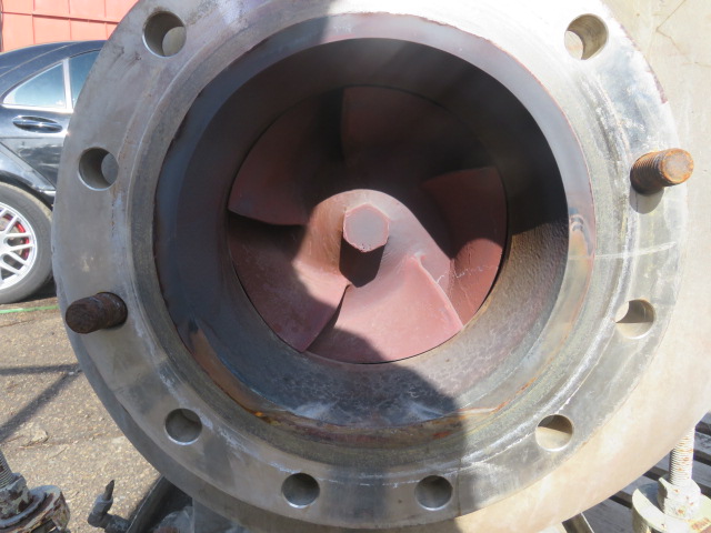 Goulds pump model 3196 XLT size 8×10-15 Material 316ss