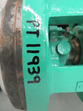 Goulds 3175 S Back Pull Out ; Rebuilt Condition!