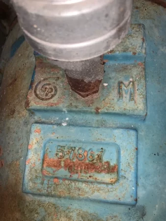 Goulds 3175 Stock Pump size 8×10-18 Stainless