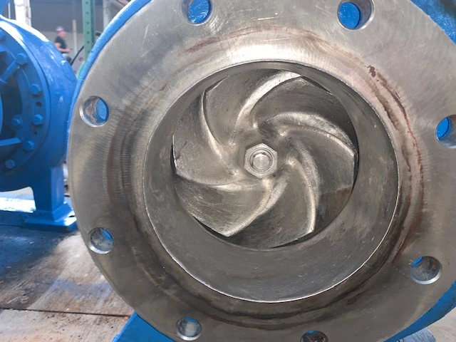 Goulds 3196 XLT-X 6×8-13 Stainless Steel Pump