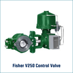 Fisher V250 Control Valves