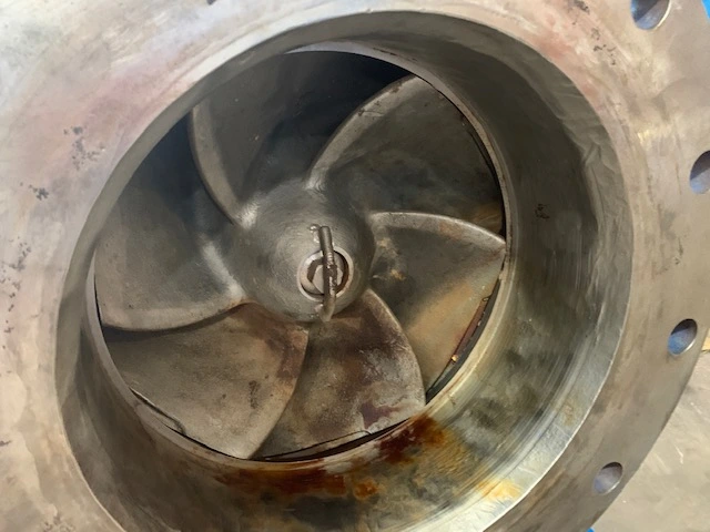 Goulds 3175L i-Frame12x14-18 Stock Stainless Steel Pump