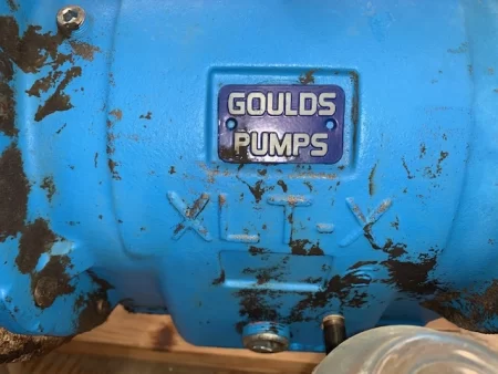 Goulds 3196 XLT-X 6×8-13 Stainless Steel Pump