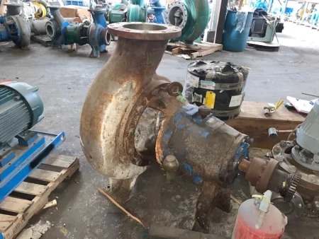 Goulds 3175 10×12-18 stainless steel stock pump
