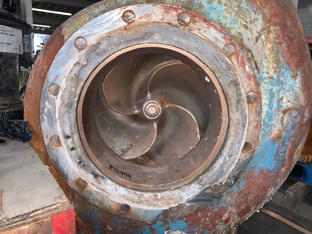 Goulds 3175 10×12-18 stainless steel stock pump