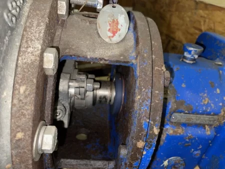 Peerless Pump model 8196 size 3×4-10 CD4