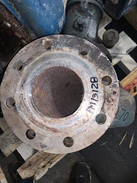 Goulds pump model 3196 MT size 4×6-13