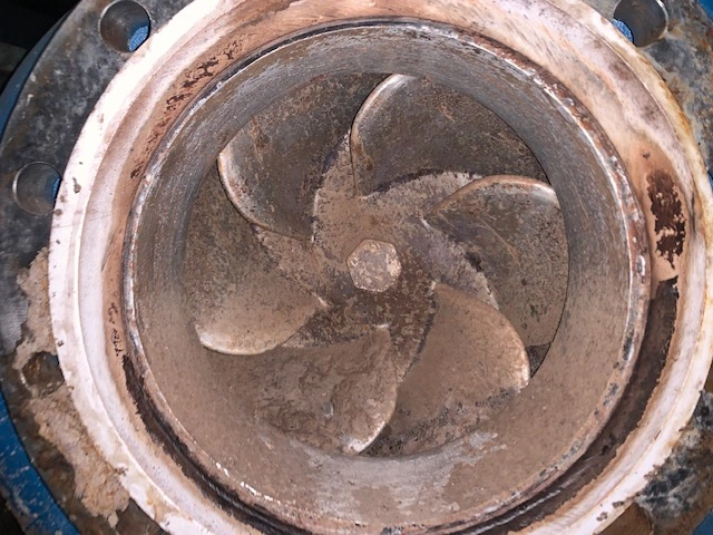 Summit 2196 8×10-15 Stainless Steel Pump