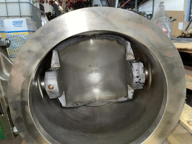 Fisher 10