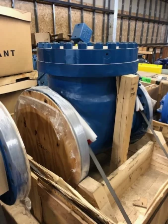20″ CL300 Weir Valves and Controls Check Valve, New Storeroom Spare