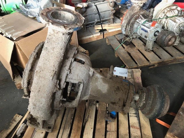 Warren 8PL-18 Stainless Steel Pump