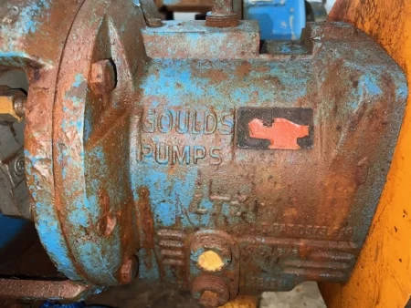 Goulds 3196 LTi 3×4-13 Stainless Steel Pump