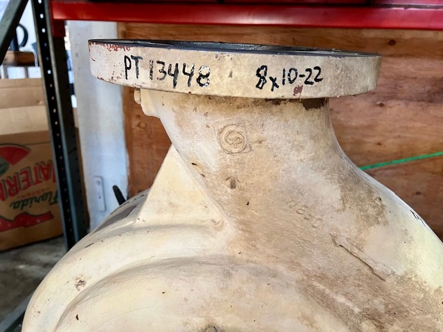 Goulds 3175 8×10-22 Stainless Steel Pump