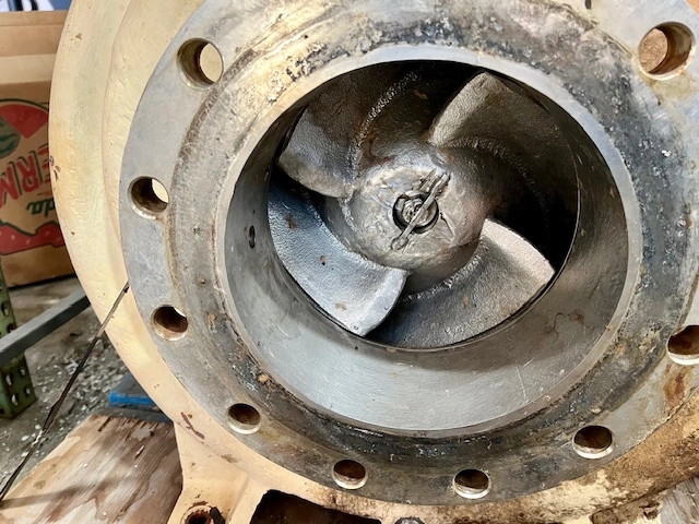 Goulds 3175 8×10-22 Stainless Steel Pump