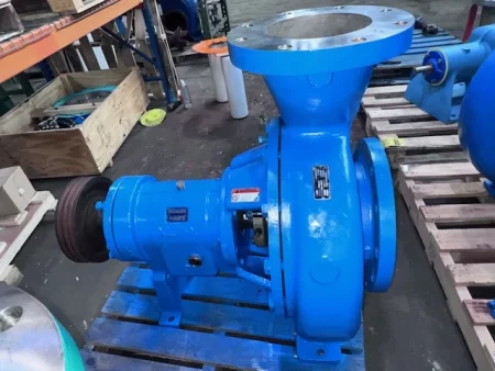 Goulds 3196 XLT-X 8×10-17 Stainless Steel Pump