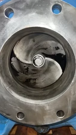 Goulds 3175 6×8-14 Stainless Steel Pump